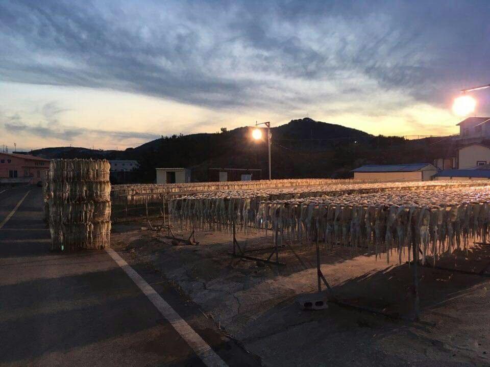Tobang Red Clay Pension Поханг Екстериор снимка